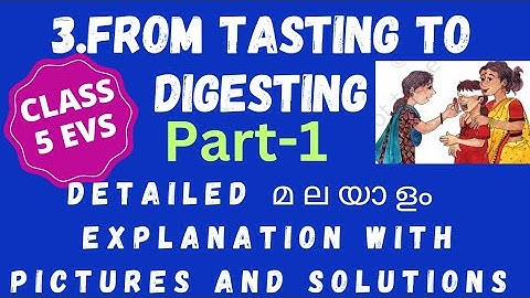 Class 5 evs chapter-3 From tasting  to digesting part -1 in malayalam