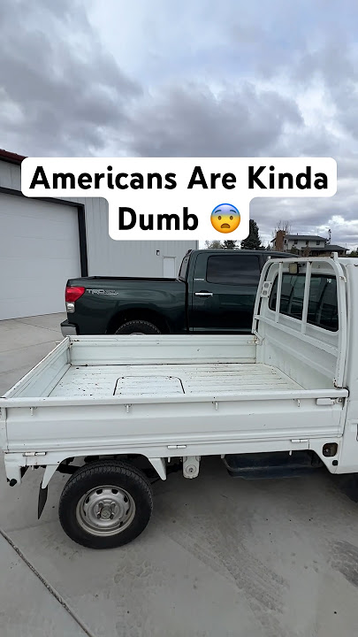 Americans are Pretty Dumb Sometimes
