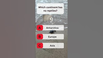 USA Quiz Challenge: Test Your Knowledge With This Question #usaquiz #funquiz #brainteaser #usafacts