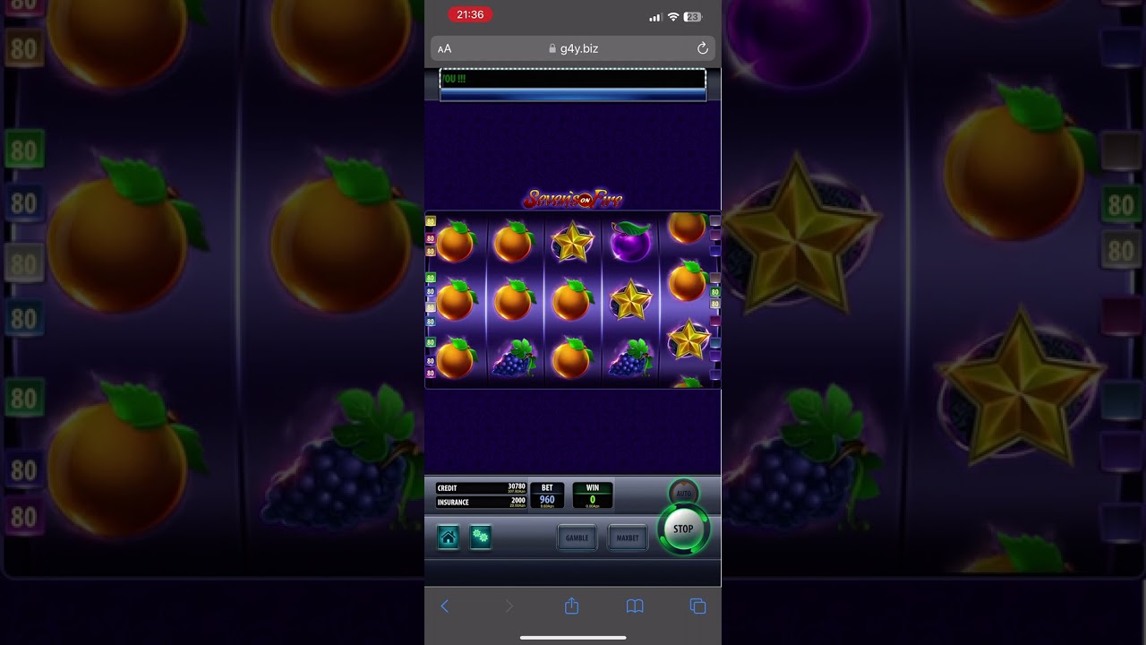 Fastloto bax amma oynama ,