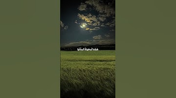 المنشاوي سورة غافر #راحة_نفسية #قرءان_كريم