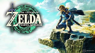 The Legend Of Zelda Tears Of The Kingdom Nintendo Switch