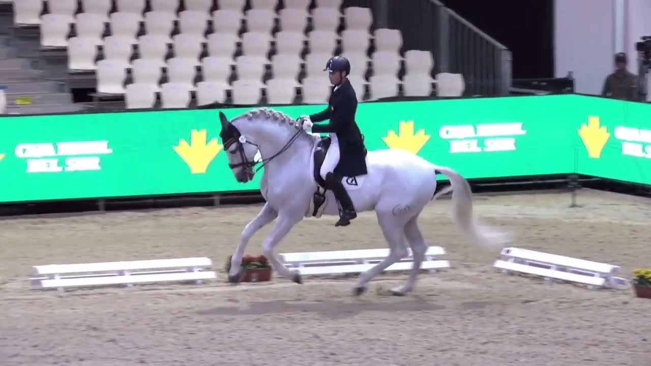 Lucius de Martet (Armas Felino) Final Copa ANCCE SICAB 2022 Nivel San Jorge