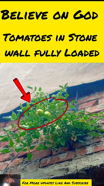 Believe on God #youtubeshorts #facts #trendingshorts #foryou #viralreels