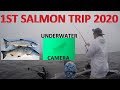 Bodega Bay Fishing | King Salmon Halibut Dungeness Crab