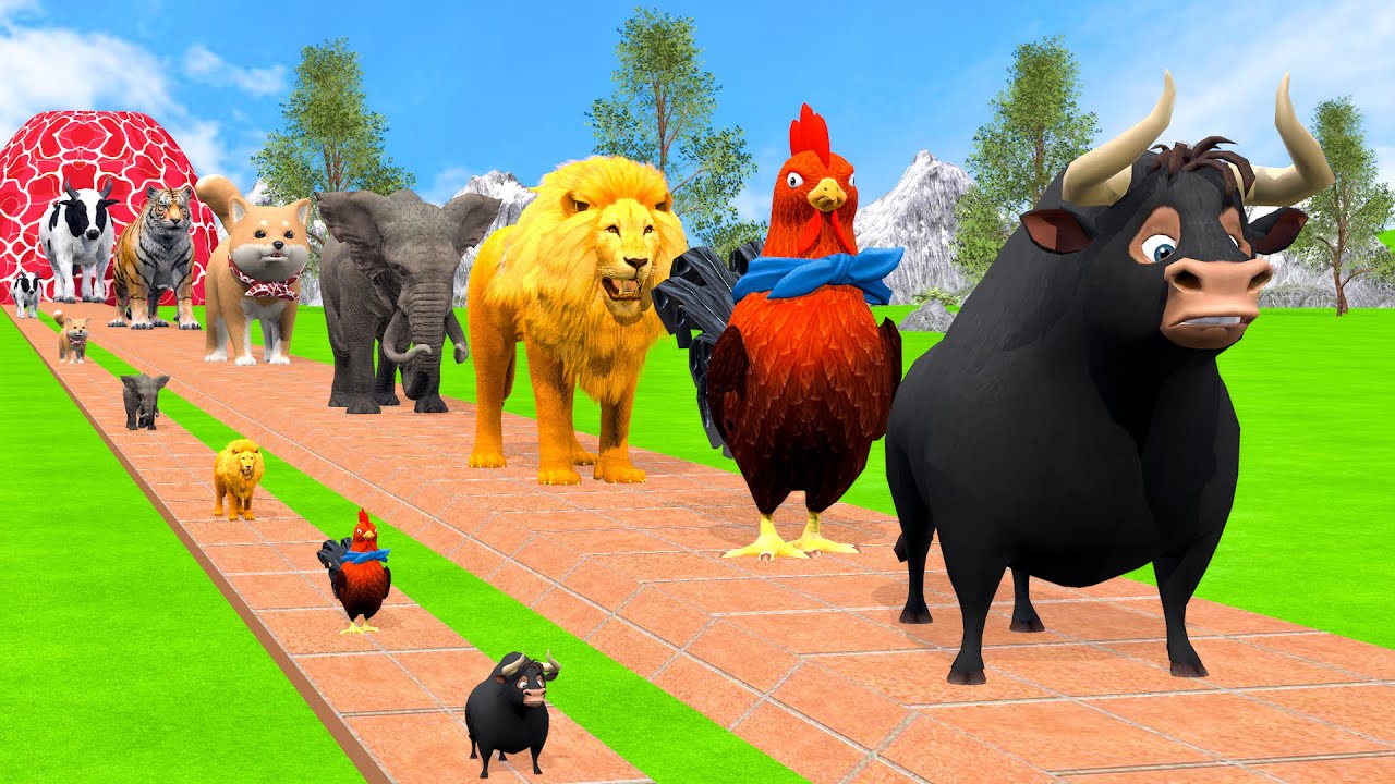 Long Slide Game With Cow Elephant Gorilla Hippopotamus Tiger - 3d Animal Game - Funny 3d Animals