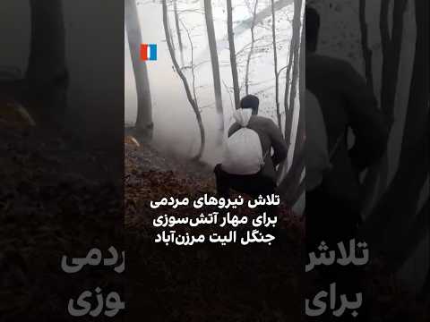 تلاش نیروهای مردمی برای مهار آتش سوزی جنگل الیت مرزن آباد
