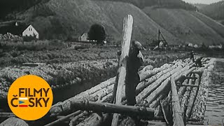 Kdyby zašlo Podskalí (1967) | Režie: Miloslav Hrubý | dokument | SD