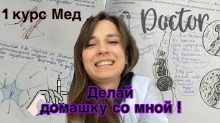 Домашка в Медицинском университете / 1 курс 🧑‍⚕️🩺