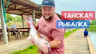 ТАЙСКАЯ РЫБАЛКА &amp; КАФЕ ТРИ РУСАЛКИ