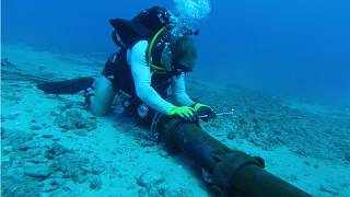 Is the Seabed a Battlefield? Australias Submarine Cable Challenge