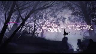 Xcho - Ты и Я | ( TikTok-Remix)✨ | Pere Pere Song Remix |#music #song #lintenlofiz #love Resimi