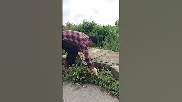Unclogging Culvert Drain a long street before Rain #cleaning #shorts #plastic