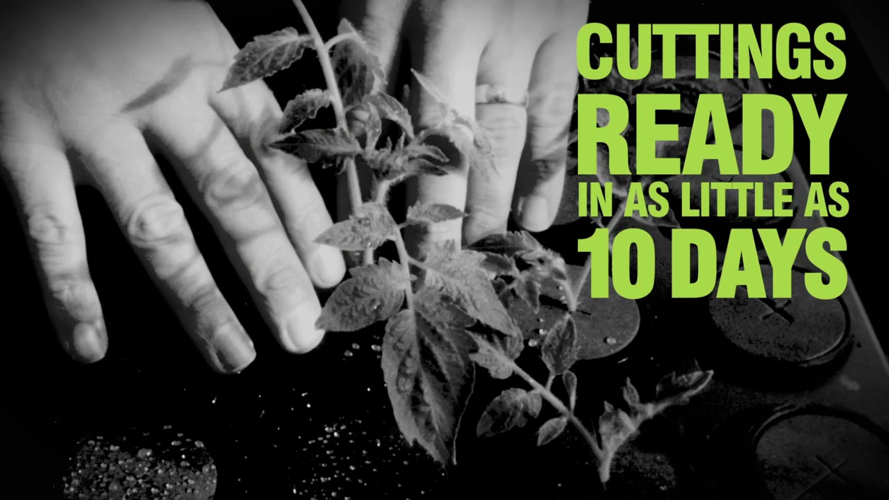 Propagador Aeropónico X-Stream V2