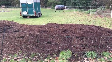 A compost/field update 12th February 2019