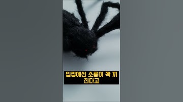 여성들이 불호한다는 남성들의 취미생활은? TOP10