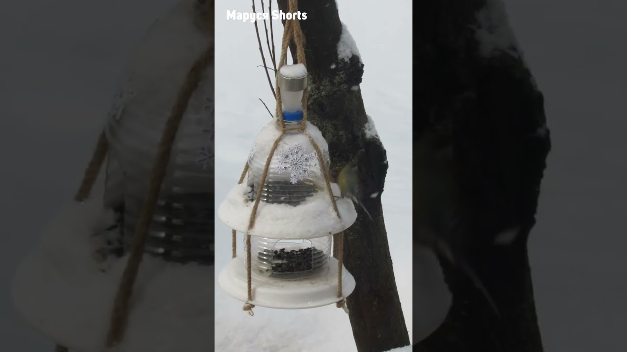 МЫ ВМЕСТЕ ПЕРЕЖИЛИ СУРОВУЮ ЗИМУ