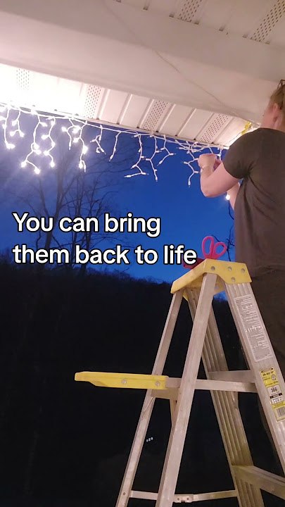 Keep Your Christmas Lights Lit With Light Keeper Pro ~ Giveaway -  TheSuburbanMom