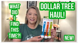 DOLLAR TREE HAUL | What Did I Find? | NEW! | DT NEVER DISAPPOINTS😁 #haul #dollartree #dollartreehaul