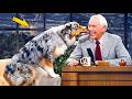 The FUNNIEST Animals Ever on The Tonight Show  #2