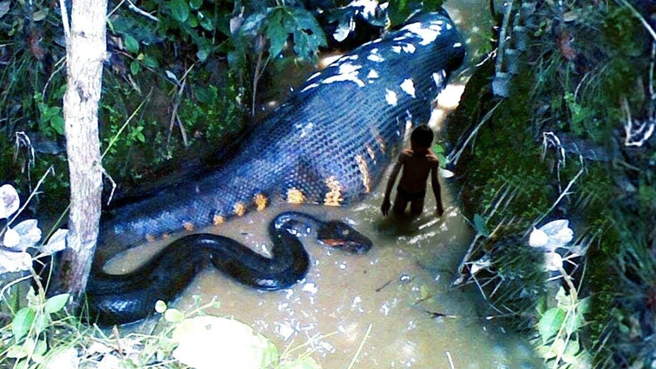 People Claim These Amazon Creatures Are Real... - YouTube