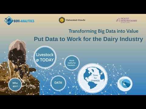 Transforming Big Data into Value: Put Data to Work for Your Dairy - Miel Hostens, DVM