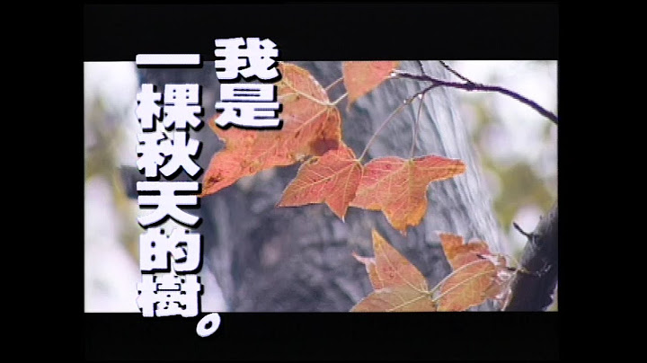 张雨生 Tom Chang -  我是一棵秋天的树  (official 官方完整版MV) - 天天要闻