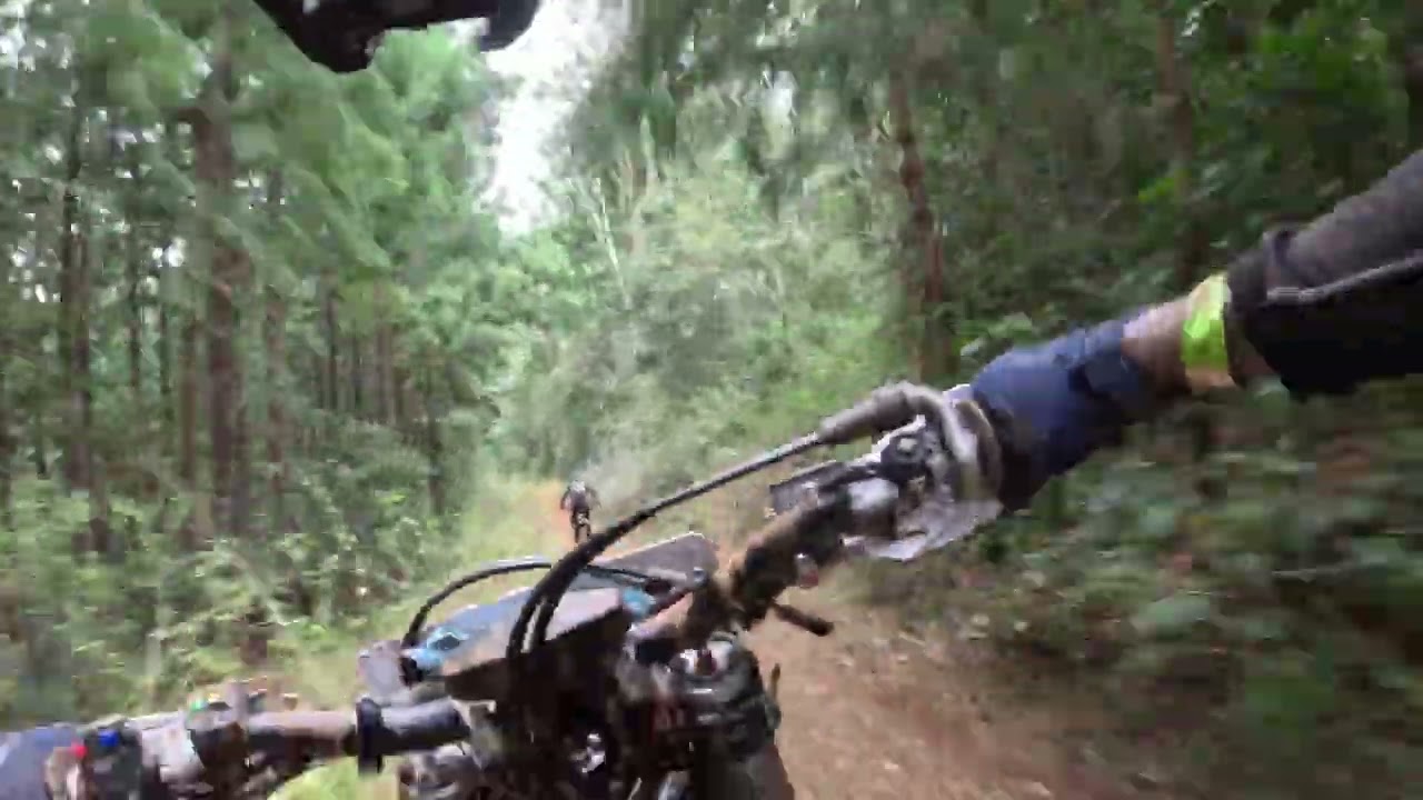 Kenilworth Chook Chase Trail Riding 2025