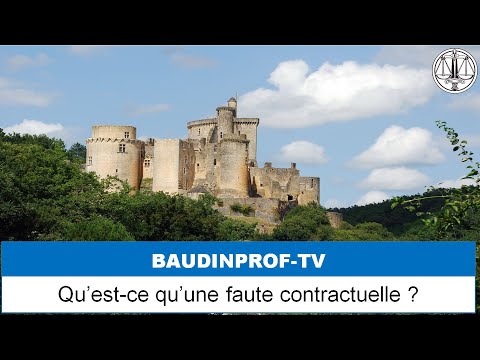 Vidéo: Quand est-ce qu'il y a faute intentionnelle ?