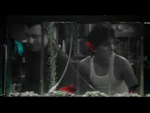 Rumble Fish