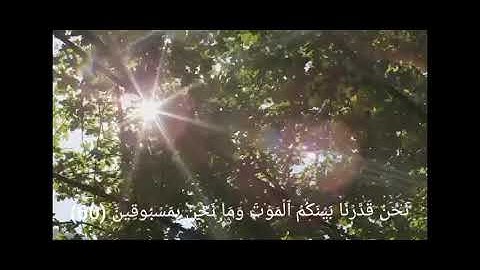 تلاوة من سورة الواقعة بصوت القارئ الشيخ وديع اليمني