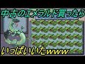 【ポケモン】中古のエメラルド買ったら何かいっぱいいたｗｗｗ【エメラルド】