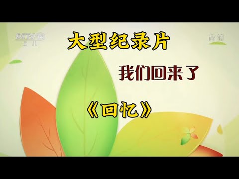 这一次我们好像休息得太久了，久到我们都已经长大了！大型纪录片《回忆》