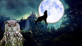 wolves howling sound, wolf sound, owl singing in the night forest, owl sound, owl hoot