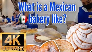 Pasteleria La Ideal in downtown Mexico City 🎂🍰 / 🥐 Best Pan Dulce Bakery in Mexico City 🥯