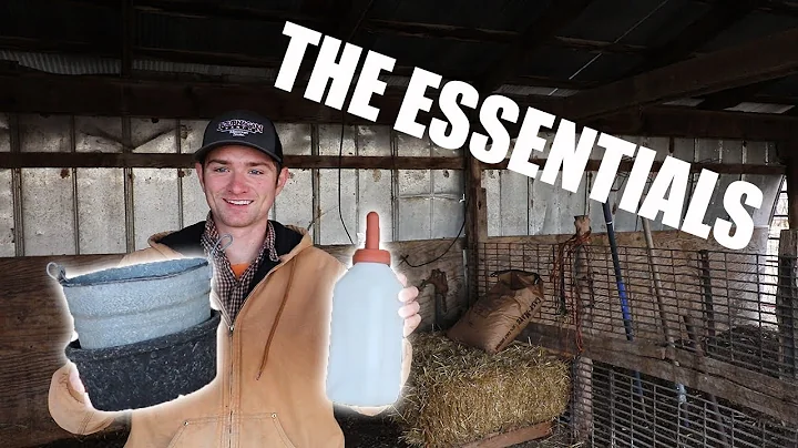 Everything You Need To Start Raising Bottle Calves!