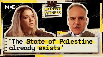 Recognition of Palestine: Does it matter? | Ardi Imseis | Expert Witness