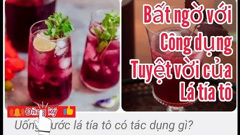 Những Bất ngờ với công dụng tuyệt vời của lá tía tô.