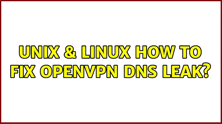 Unix & Linux: How to fix OpenVPN DNS leak? (5 Solutions!!)