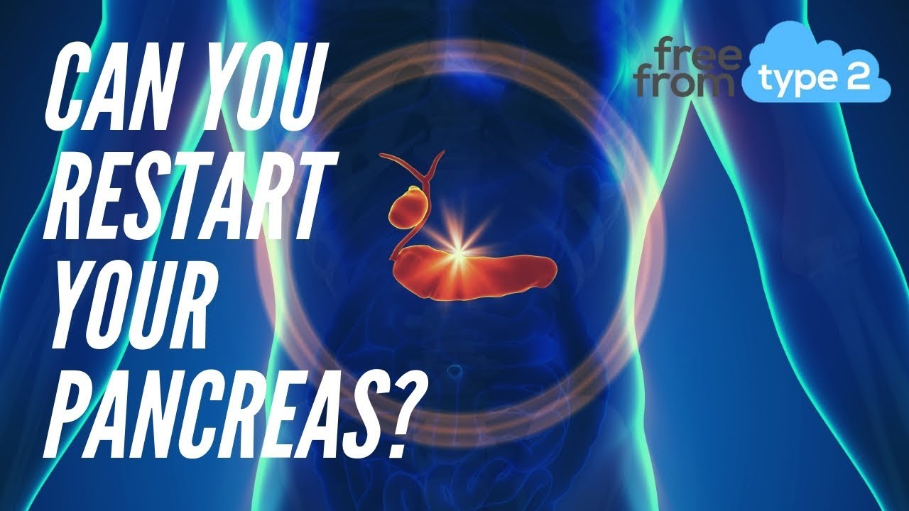 Can you restart your pancreas? - YouTube