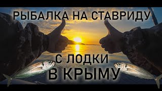 Рыбалка на ставриду с лодки в Крыму