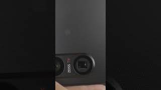 Sony Xperia 1 V Closeup Wasp