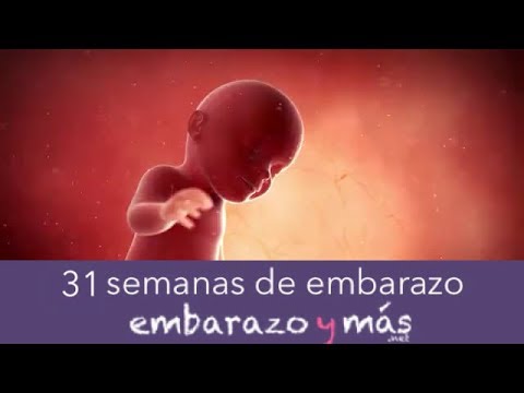 Video: 31 Semanas De Embarazo: Sensaciones, Desarrollo Fetal