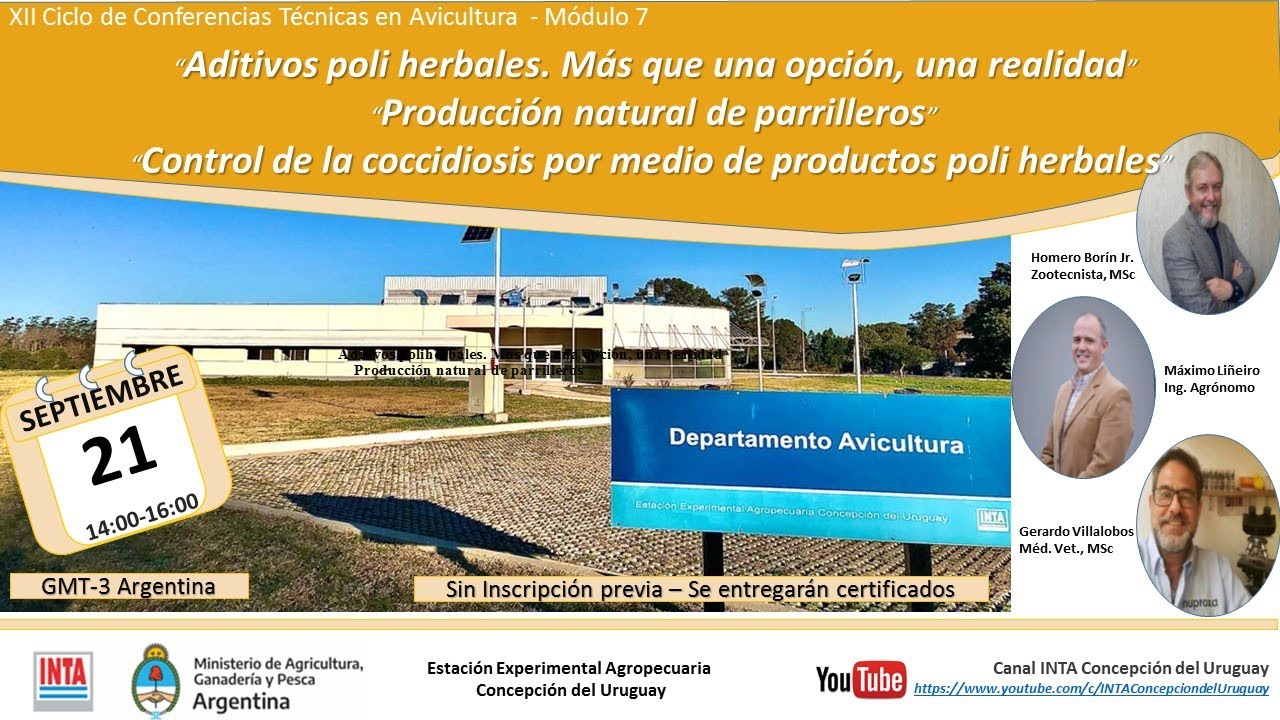 Avicultura con productos naturales, poliherbales