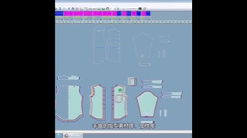 Richpeace Gament CAD V10.0