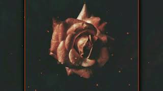 Taladroay Balam Nakarat Pro.same