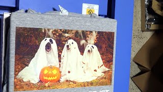 Ghost Puppers DTG Print 🐶 | Omniprint International