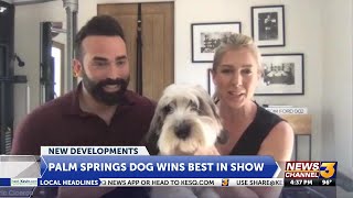 Interview with owners of local dog that won Best in Show at Westminster dog show