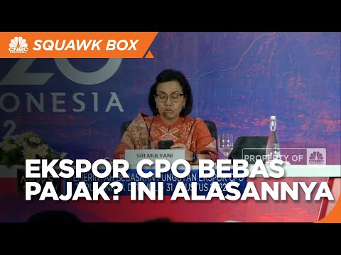 Sri Mulyani Bebaskan Pajak CPO, Ini Alasannya