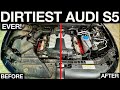 First Wash In 5 Years: Dirtiest Audi S5 Ever Huge Detailing Transformation!
